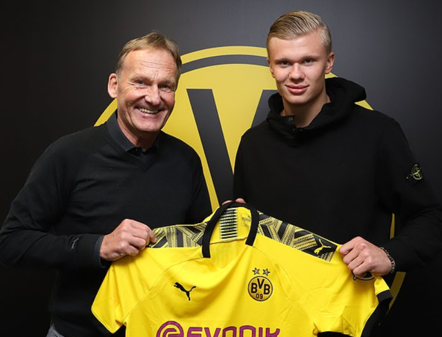 综合体育赛季走势预测 数据与经验结合判断